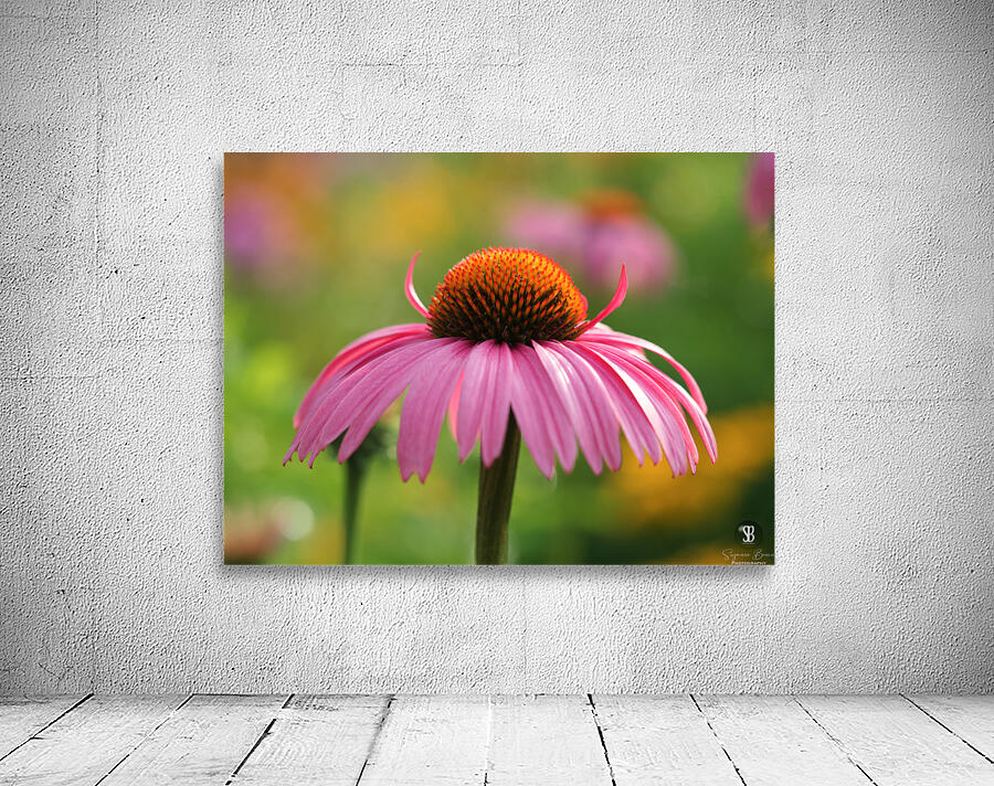 Little Devil Wall Preview