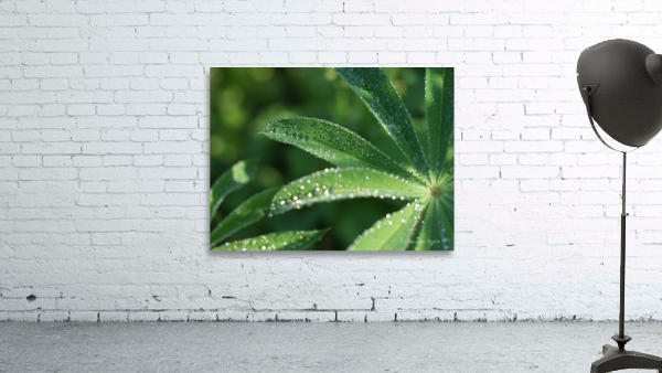 Droplets Wall Preview