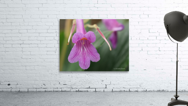 Dear Little One Wall Preview