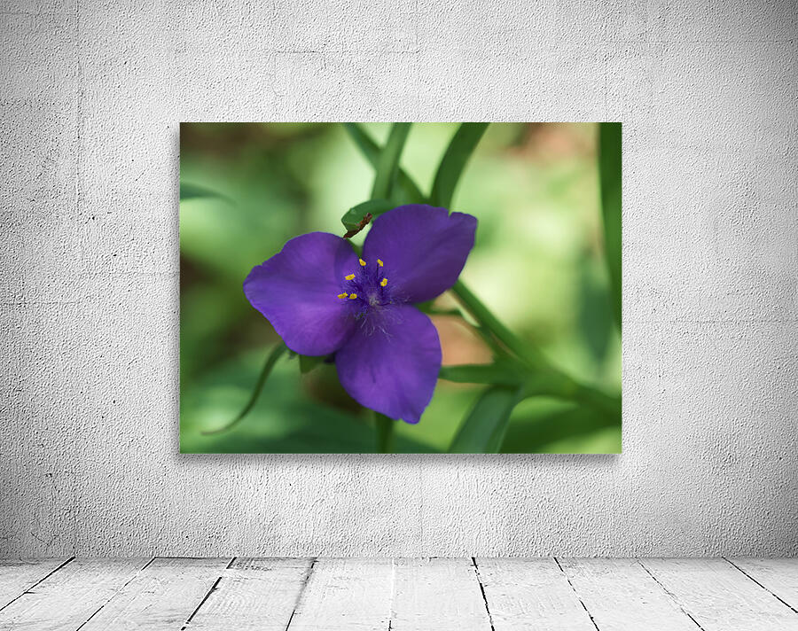 Bluejacket Wall Preview