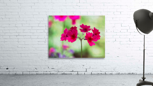 Valley Red Wall Preview