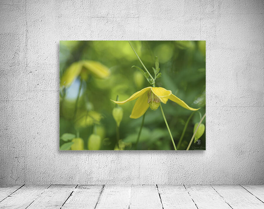 Golden Tiara Wall Preview