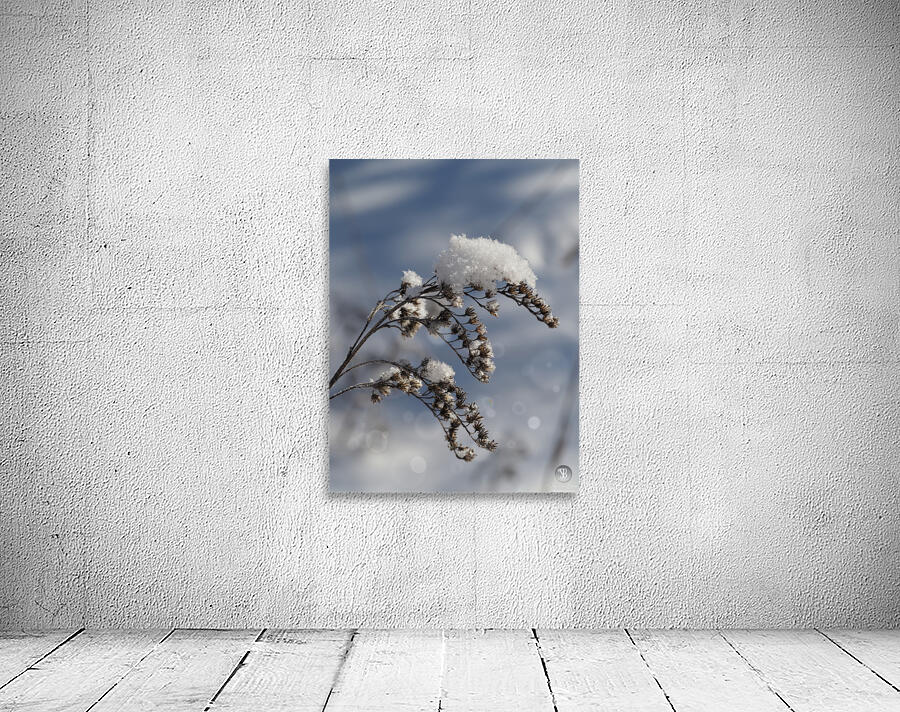 Frosted Twig Wall Preview