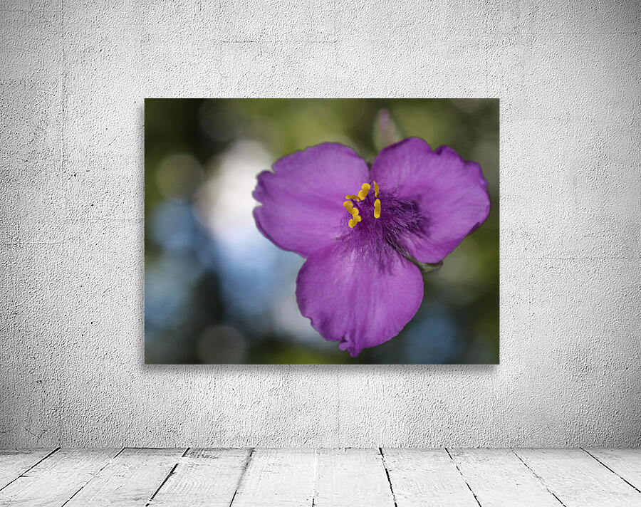 Prairie Beauty Wall Preview