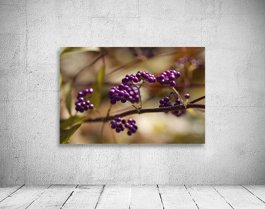 Profusion Wall Preview