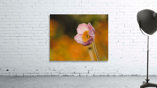 Among Others Wall Preview