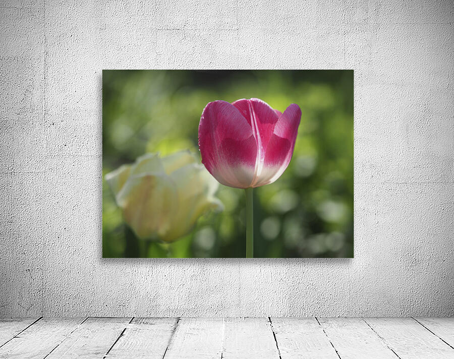 Simple Beauty Wall Preview