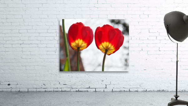 Twin Sisters Wall Preview