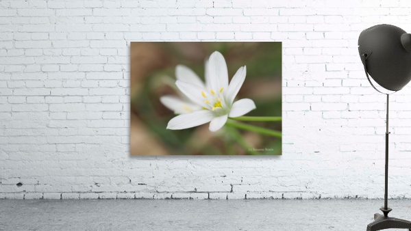 Tiniest World Wall Preview