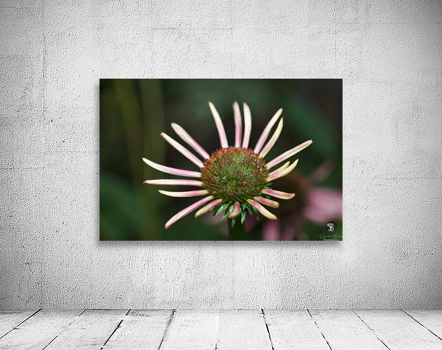 Good Morning Wall Preview