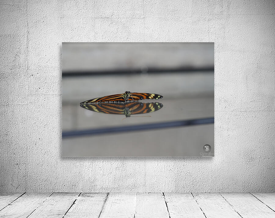 Tiger Heliconian Wall Preview