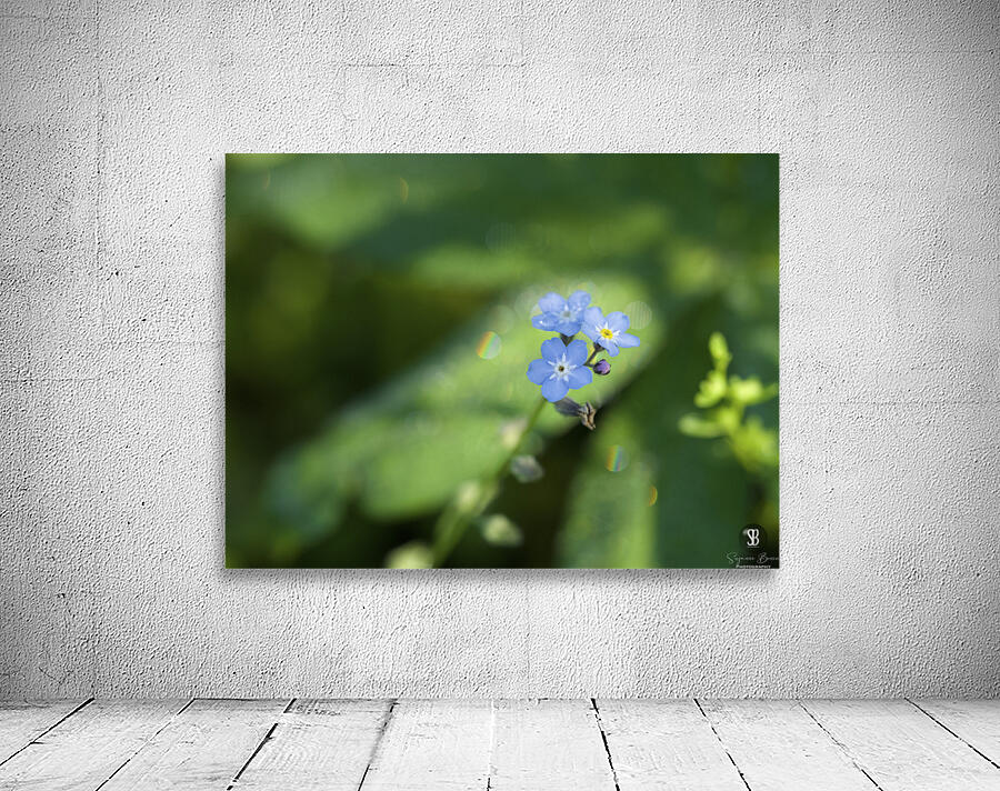 Forget Me Not with Tiny Rainbows Wall Preview