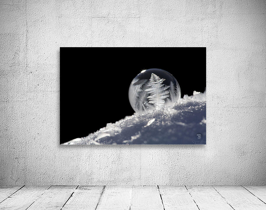 Frozen Soap Bubble Wall Preview