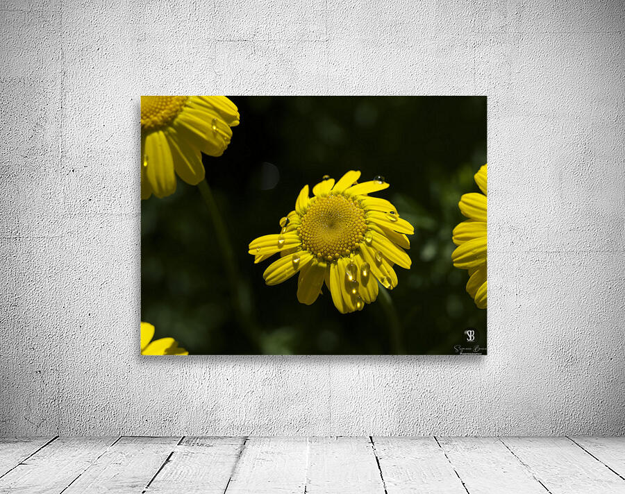 Charming Lady Wall Preview