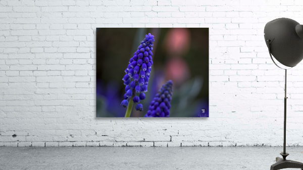 Tiny Blue Bulbs Wall Preview