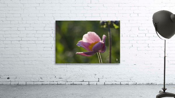 Broken Bowl Flower Wall Preview