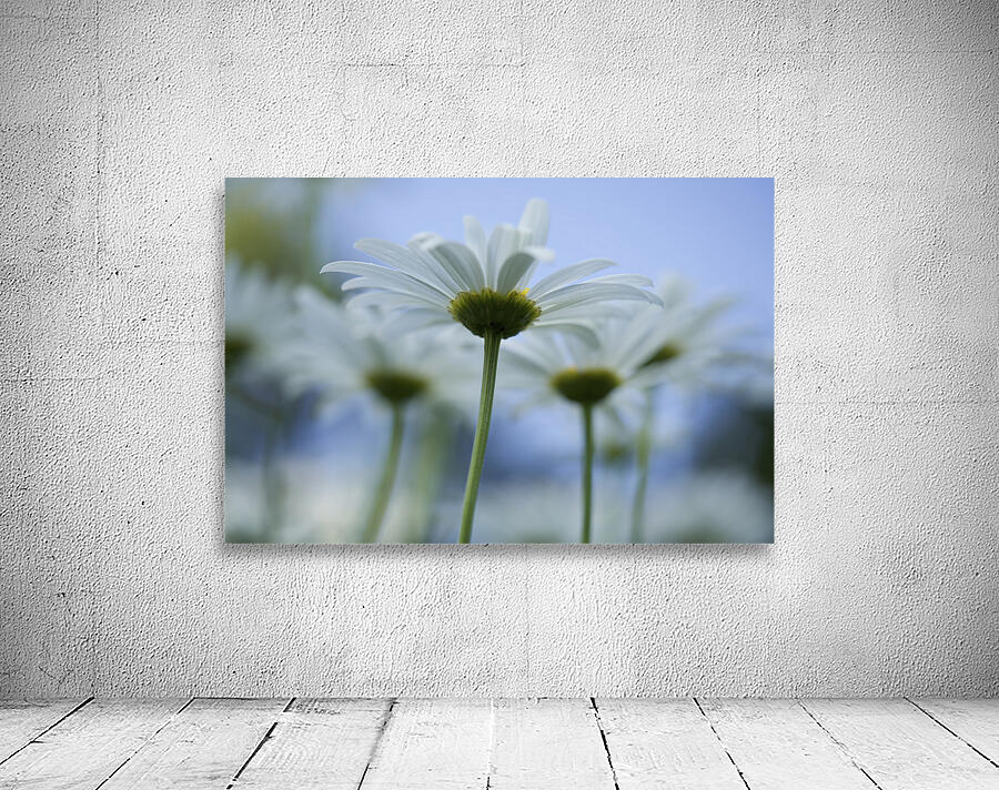 From Under Wall Preview