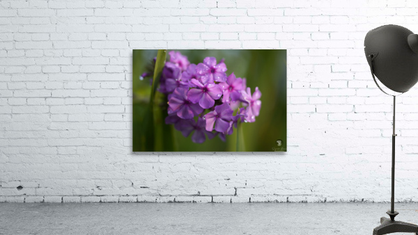 Purple Flame Wall Preview