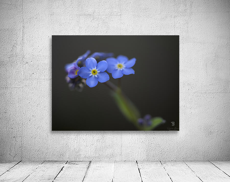 Pretty in Blue Wall Preview