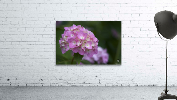 Tea of Heaven Wall Preview