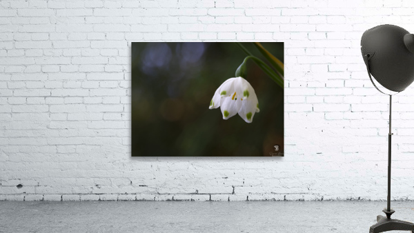 Spring Snowflake Wall Preview