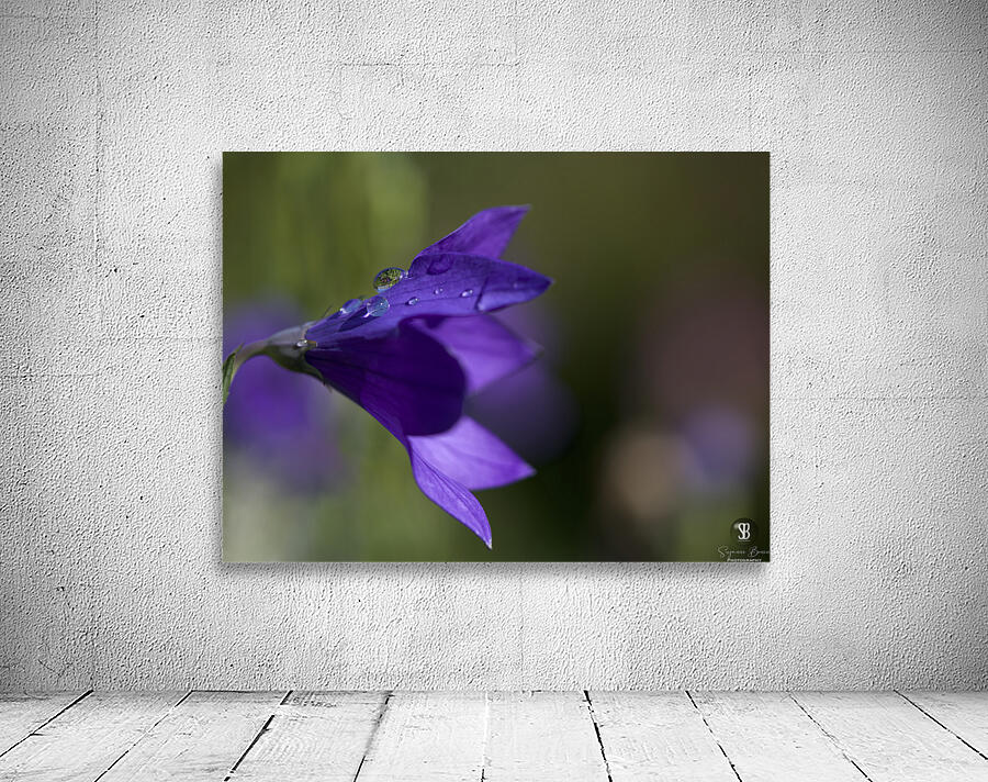 Water Drop Refraction Wall Preview