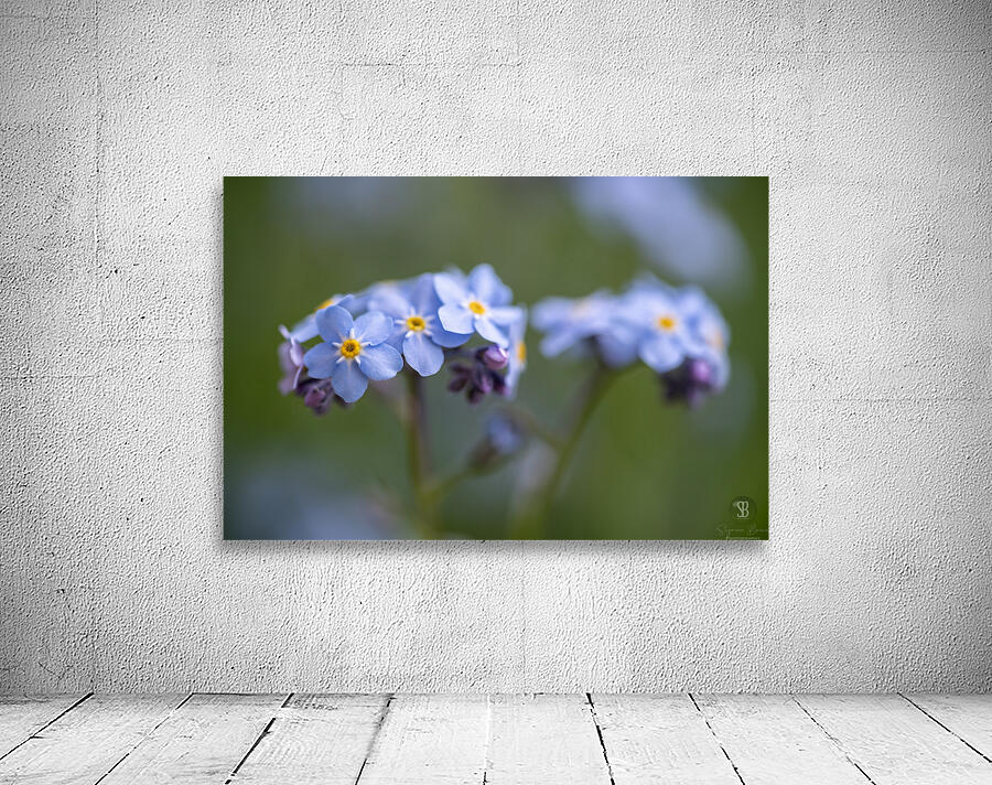 Scorption Grasses Wall Preview