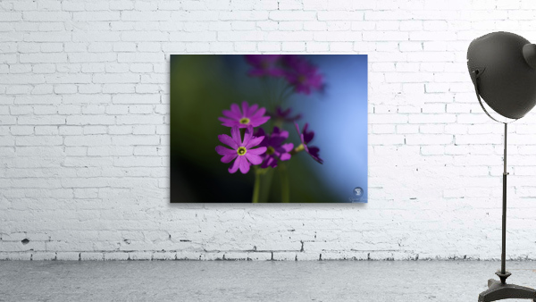 Dainty Blossoms Wall Preview