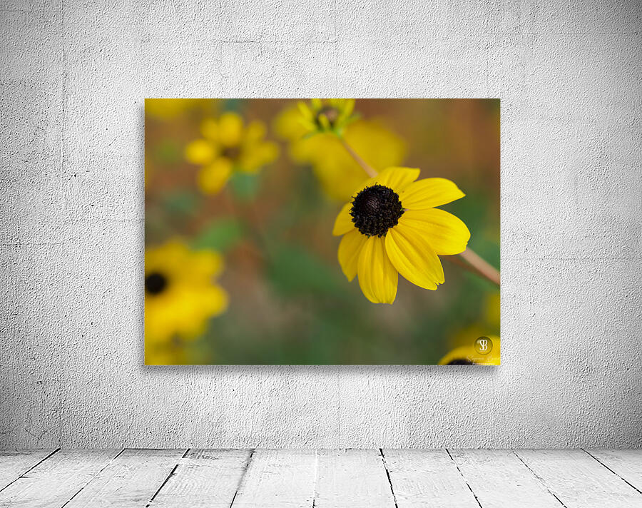 Black Eye Wall Preview