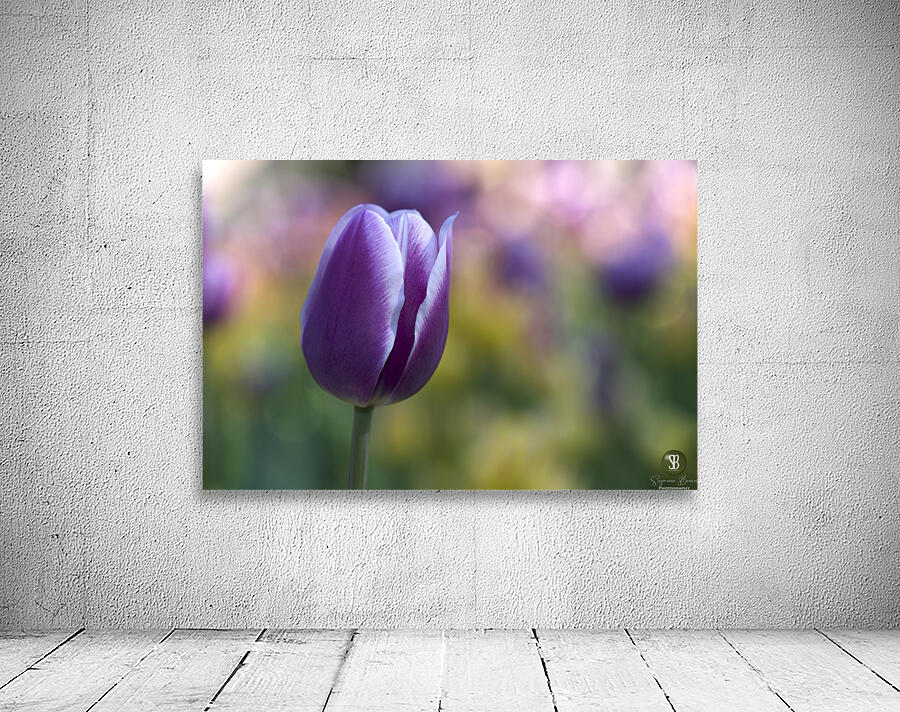 The Purple One Wall Preview