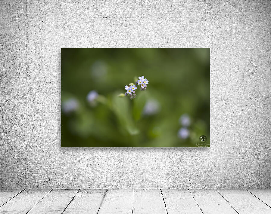 Tiniest Bouquets Wall Preview