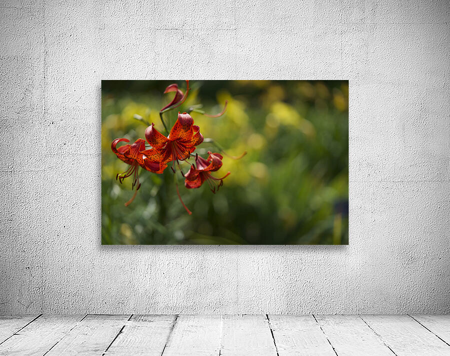 Tiger Lilies Wall Preview