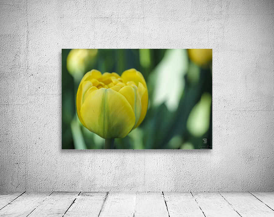 Pretty in Yellow Wall Preview