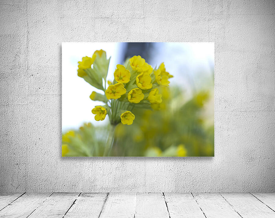 Mes Jolies Wall Preview