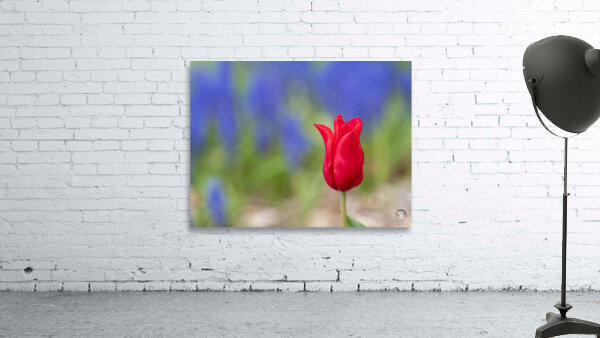 Me Myself I Wall Preview