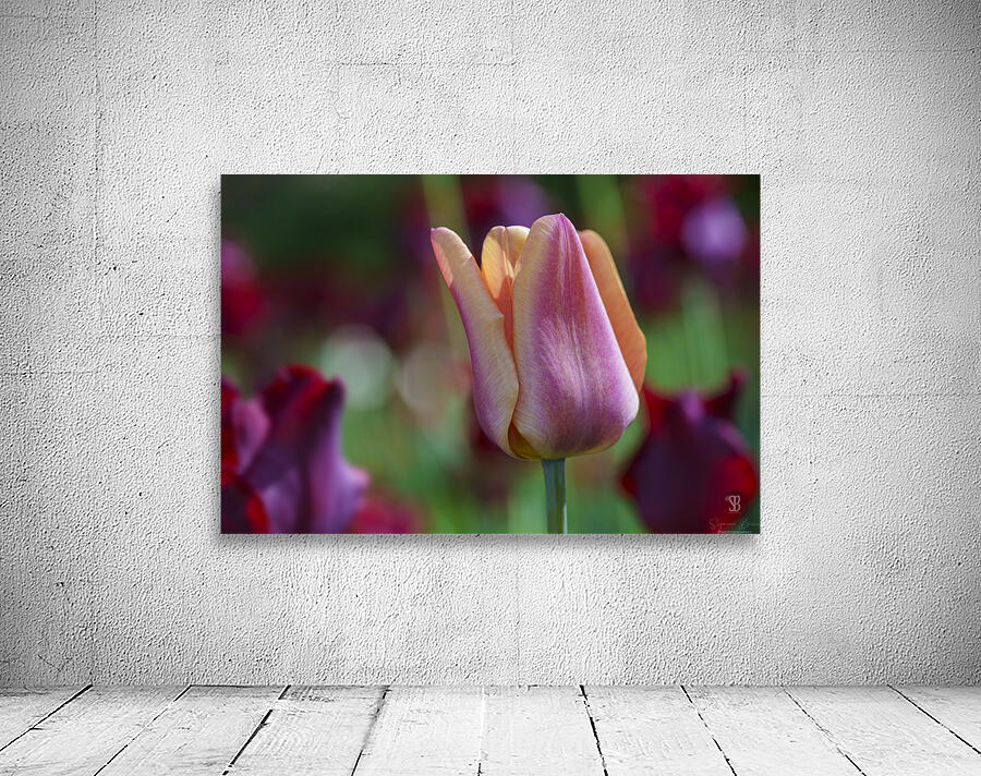 Glowing Lady Wall Preview