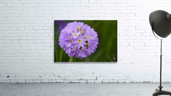 Drumstick Wall Preview