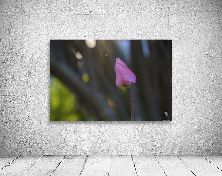 Good Energy Wall Preview