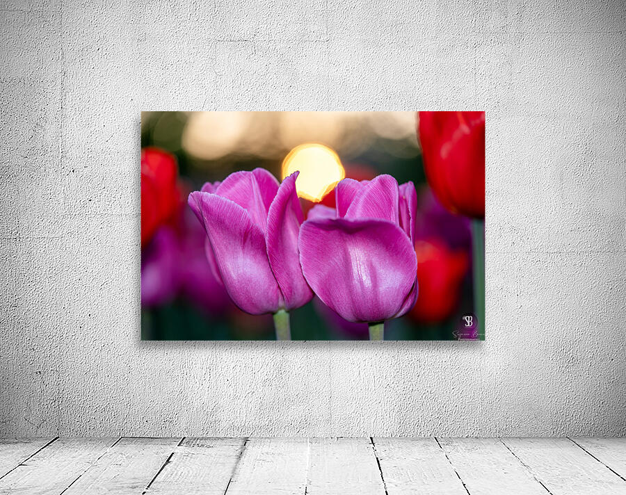 Two Amigos Wall Preview