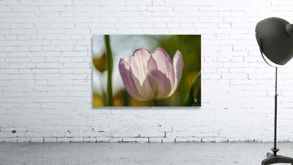 The Glowy One Wall Preview