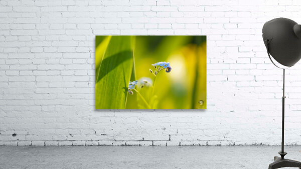 Here Comes the Sun Wall Preview