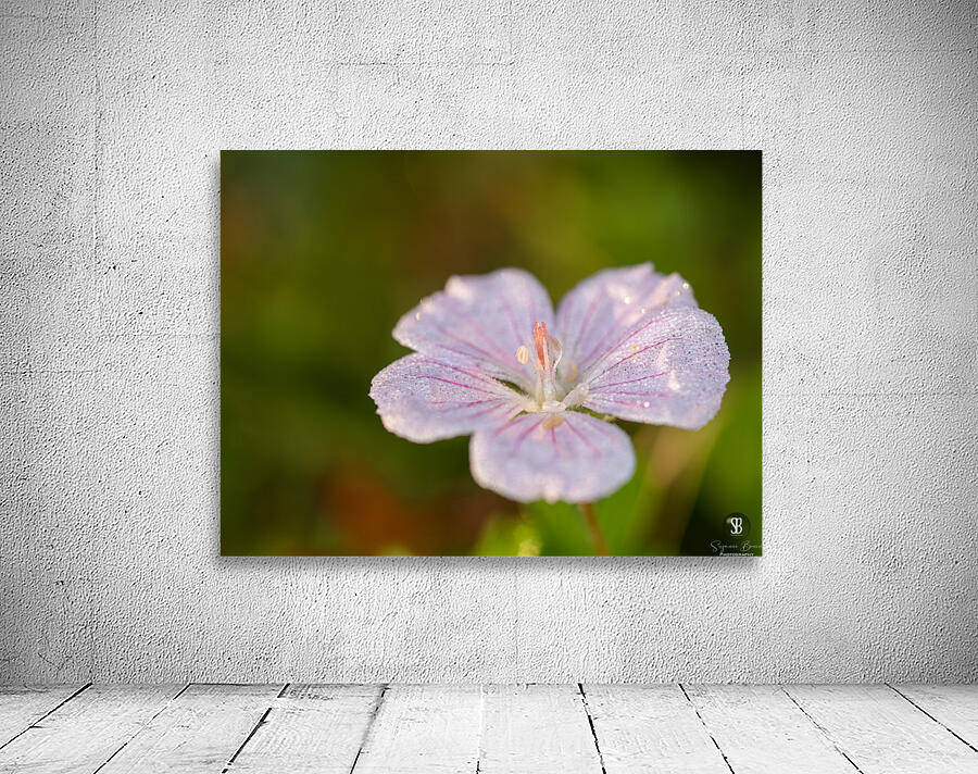 Pretty Pretty Wall Preview