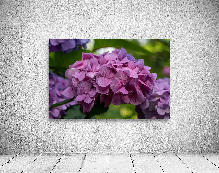 Awesome Pink Wall Preview