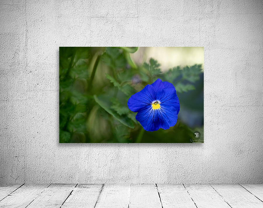 Velvety Blue Wall Preview