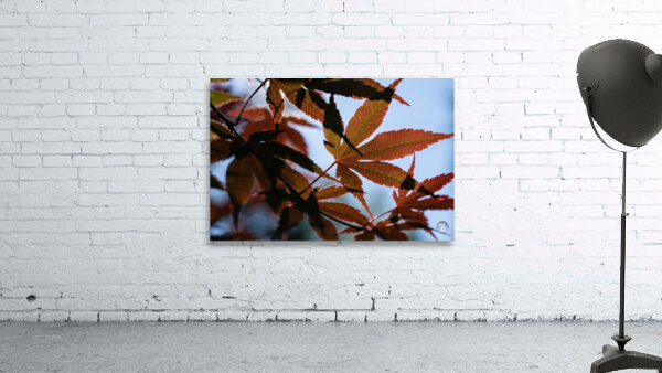 Striking Leaves Wall Preview