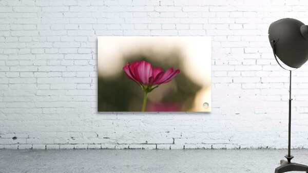 Dreamy State Wall Preview