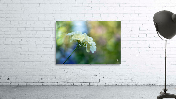 Dreamy State 2 Wall Preview