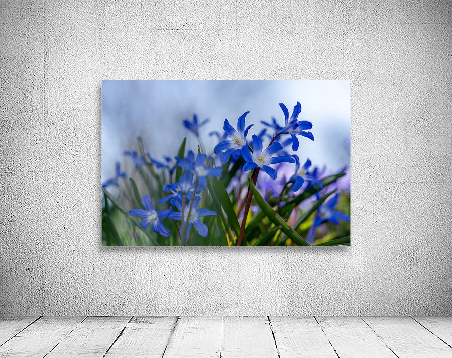 Little Blue Bulbs Wall Preview