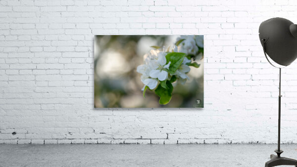 Whispering Blooms Wall Preview