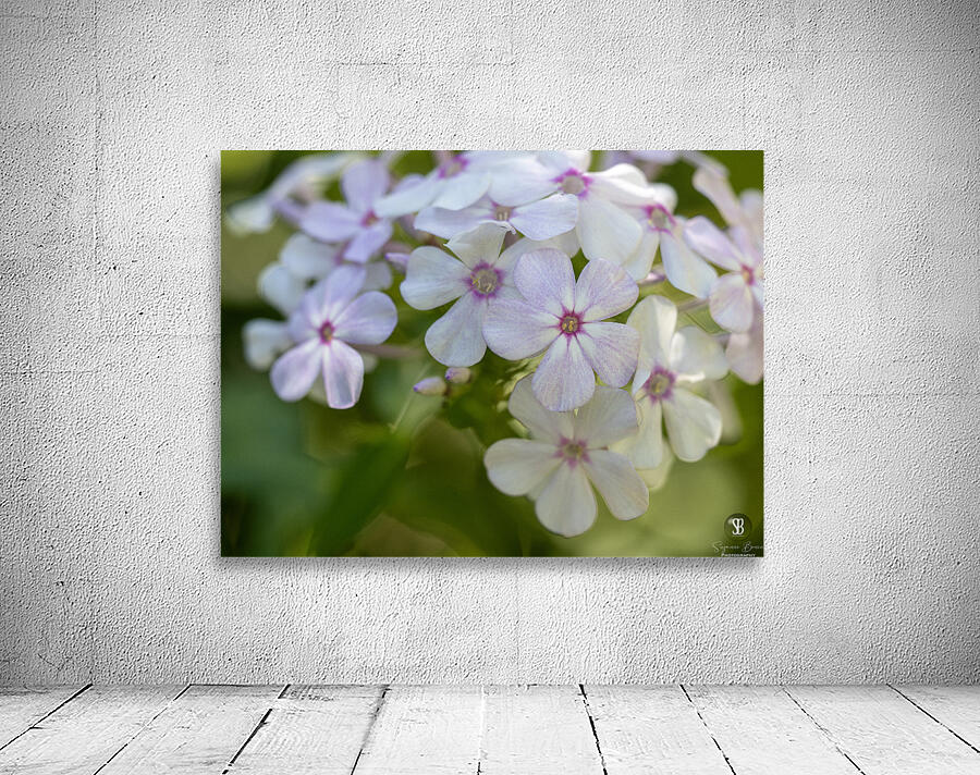 Mellow Melody Wall Preview